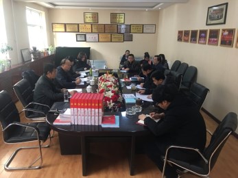 集團副總經(jīng)理王衛(wèi)平一行到甘肅省曲藝團檢查督查黨建標準化落實情況