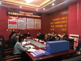 集團副總經(jīng)理王衛(wèi)平一行到省演出公司督查黨支部建設標準化工作落實情況