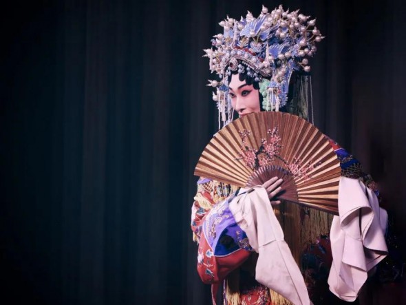 乾坤一臺戲，請君更看戲中戲